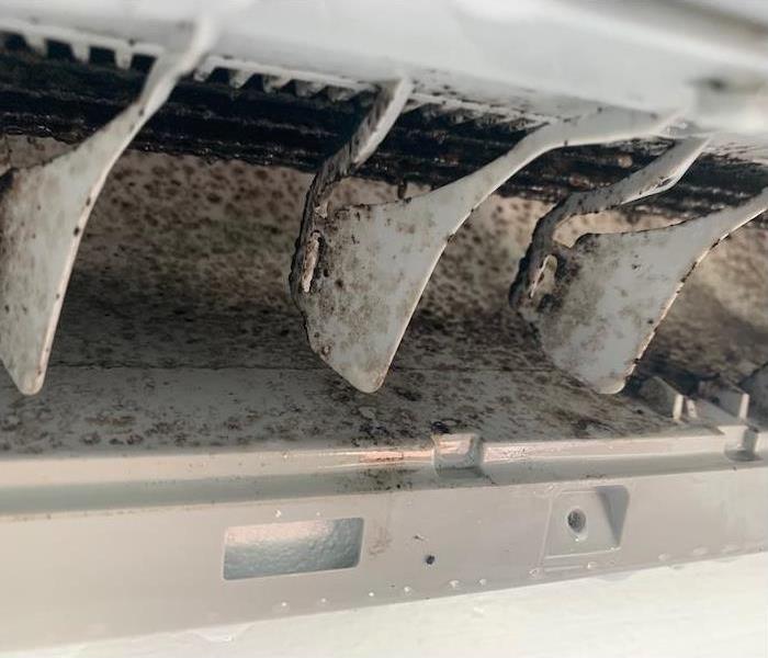 AC Unit with mold growth in the interior