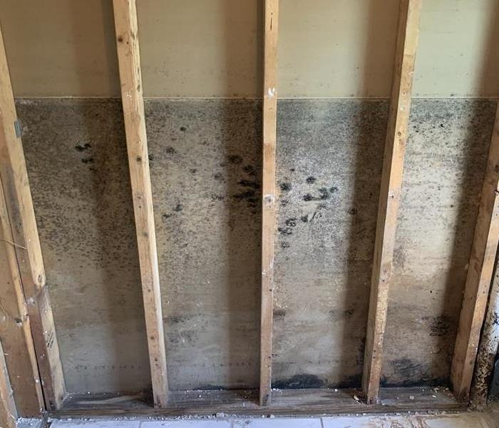 A wall with no drywall