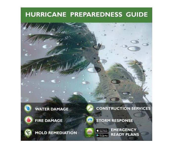 palm trees in rain with heading of Hurricane Preparedness Guide